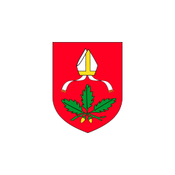 Dąbrowa Biskupia Flaga Dąbrowy Biskupiej