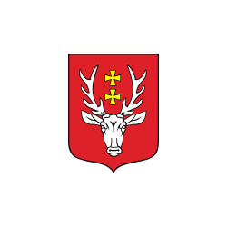 Hrubieszów Flaga Hrubieszowa