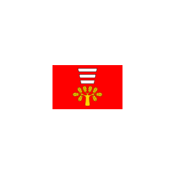 Hańsk Flaga Hańska