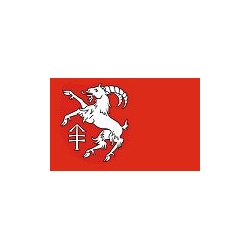 Kozłów Flaga Kozłowa