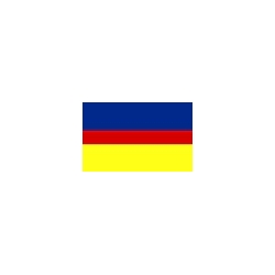 Wąsewo Flaga Wąsewa