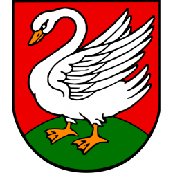 Borkowice Flaga Borkowic