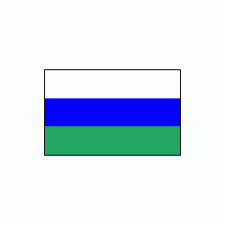 Narewka Flaga Narewki