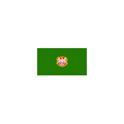 Koźmin Wielkopolski Flaga Koźmina Wielkopolskiego