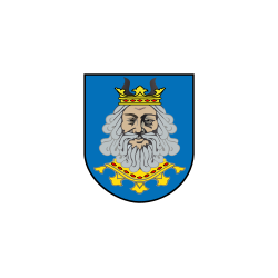 Powiat rypiński Flaga powiatu rypińskiego