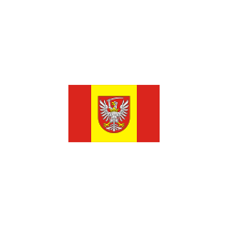 Powiat toruński Flaga powiatu toruńskiego