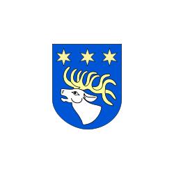 Powiat rycki Flaga powiatu ryckiego