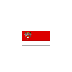 Powiat brzeziński Flaga powiatu brzezińskiego