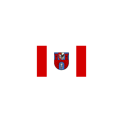 Powiat radomszczański Flaga powiatu radomszczańskiego