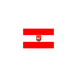 Powiat wieluński Flaga powiatu wieluńskiego