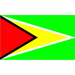 Gujana Flaga 90x150 cm