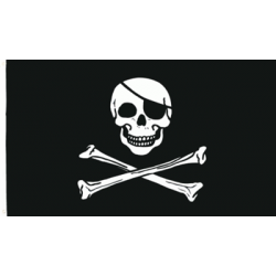 Pirat Czaszka i Kości Flaga na Jacht / Motorówkę 30x40 cm